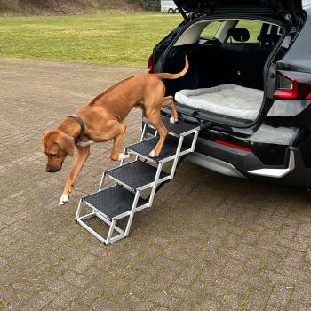Aluminium Falt-Treppe, Hundetreppe von Nobby  - Hunderampe - Einstiegshilfe für Hunde ins Auto - bis 75 kg